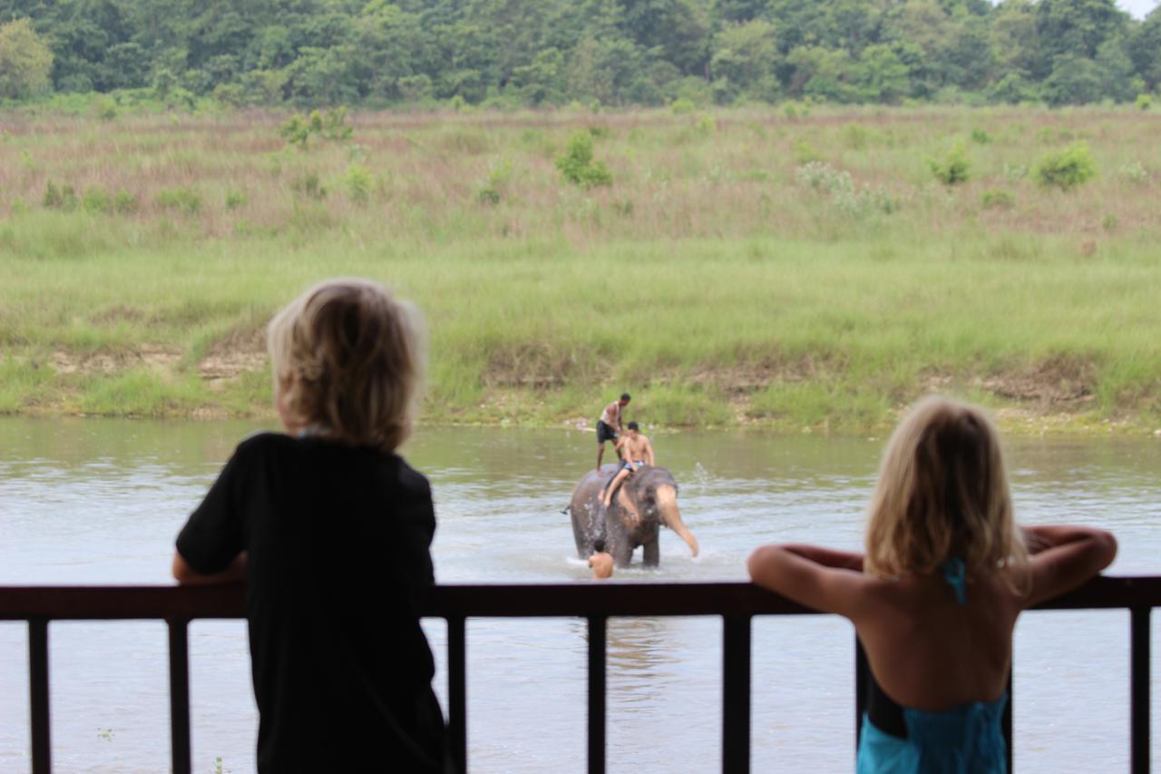 Hotel Jungle Sunset Camp Sauraha Exterior foto