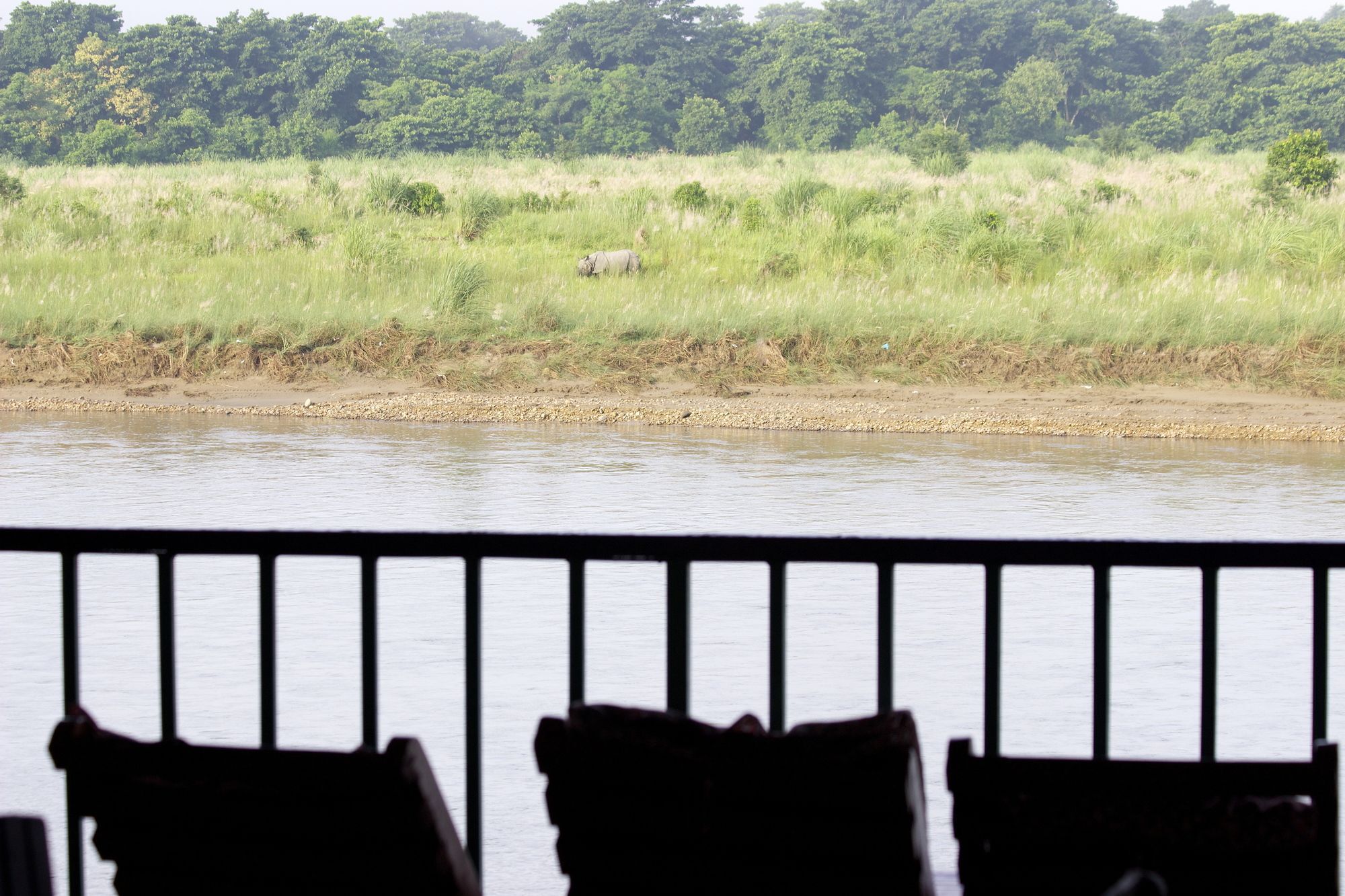 Hotel Jungle Sunset Camp Sauraha Exterior foto