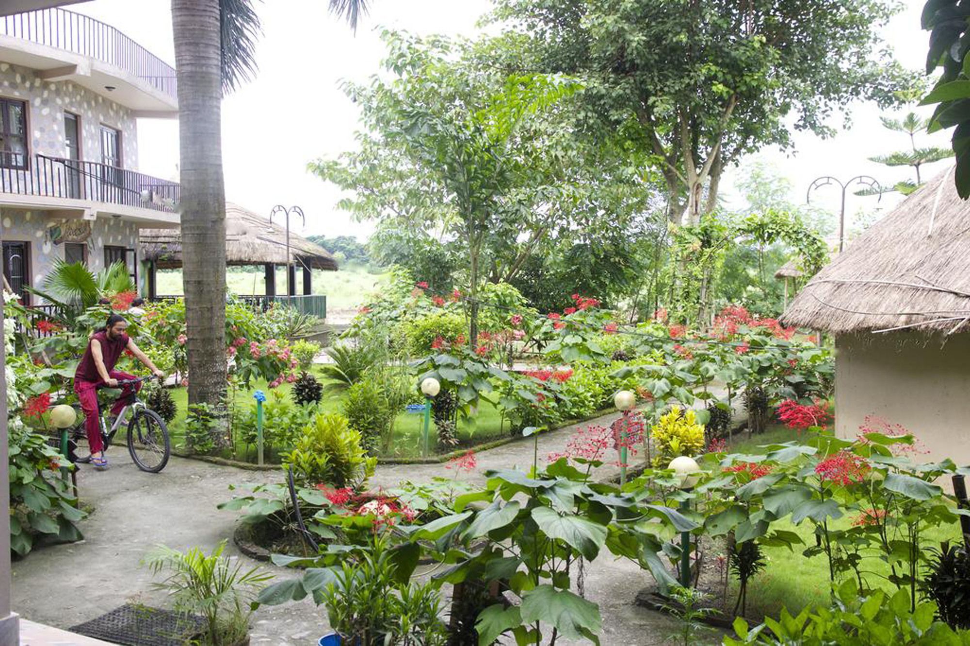 Hotel Jungle Sunset Camp Sauraha Exterior foto